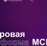 Как самозанятым копить на пенсию? - Мокшанский район